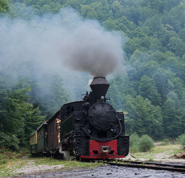Locomotive à bois Mocanita
 - Photo, image