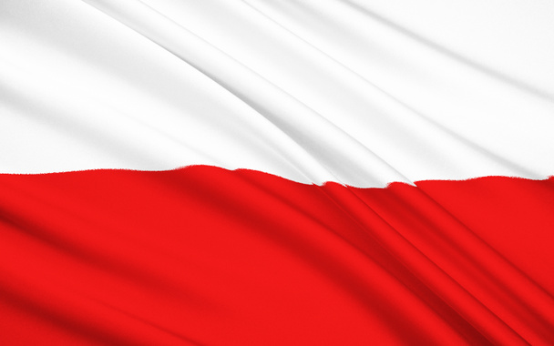 Puolan lippu
 - Valokuva, kuva