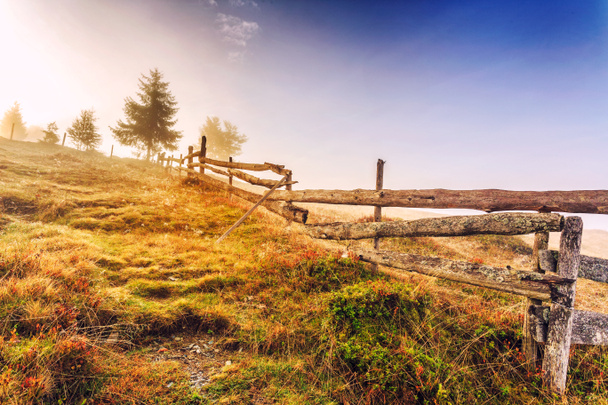 Kleurrijke herfst landschap scène met hek in Transsylvanië - Foto, afbeelding