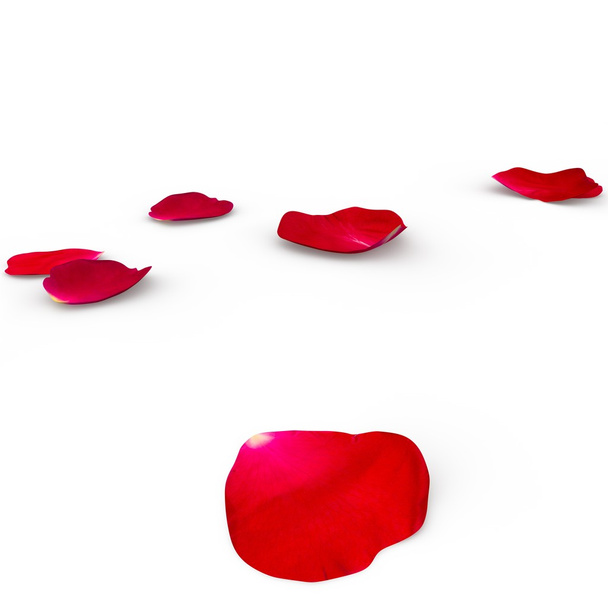 Πετάλων του ένα κόκκινο τριαντάφυλλο ξαπλωμένο στο πάτωμα - Φωτογραφία, εικόνα