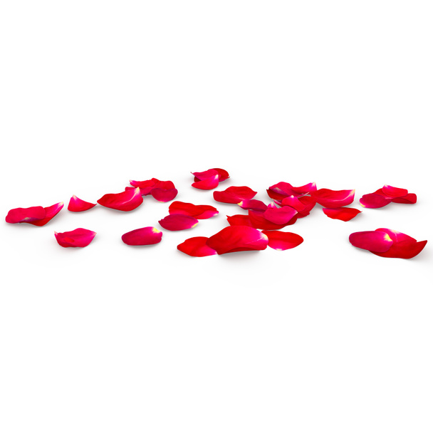 Egy vörös rózsa a padlón feküdt a szirmok - Fotó, kép