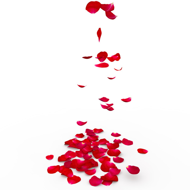 床に赤いバラの花びらが飛んでいます。 - 写真・画像