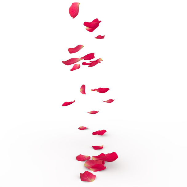 Pétalos de rosa caen al suelo
 - Foto, Imagen