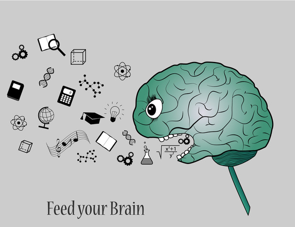Nutrire il cervello
 - Vettoriali, immagini