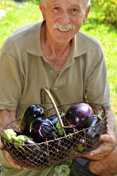 Farmer holding eggplant basket - Foto, afbeelding