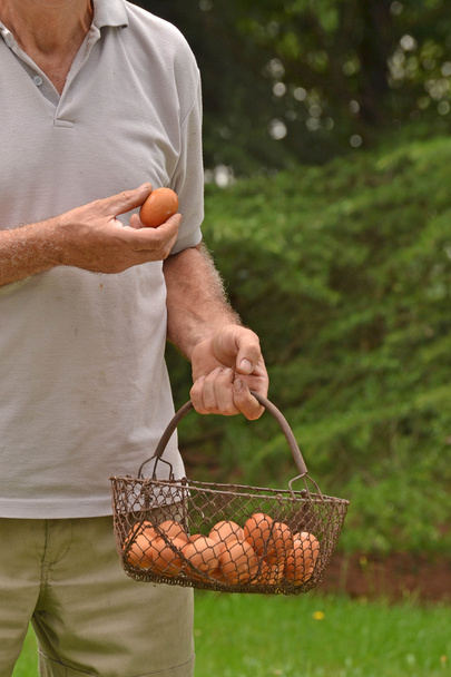 farmer holding egg basket - Φωτογραφία, εικόνα