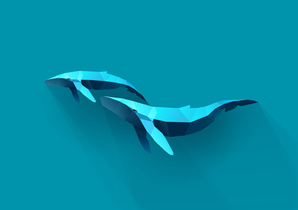 walvis familie - Vector, afbeelding