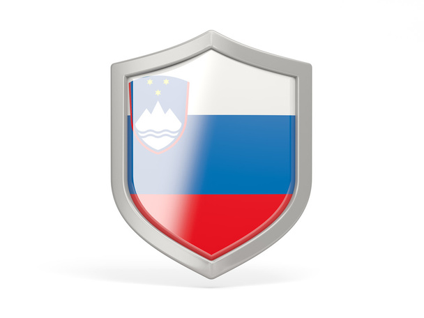 Shield icon with flag of slovenia - Fotografie, Obrázek