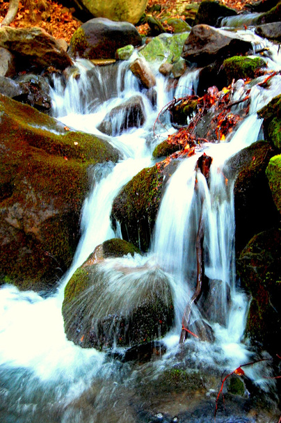 Водопад в Карпатах - Φωτογραφία, εικόνα