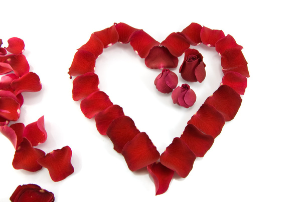 Rose petals in a shape of a heart - 写真・画像