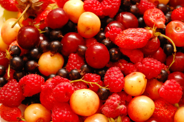 Красные ягоды крупным планом - Foto, afbeelding