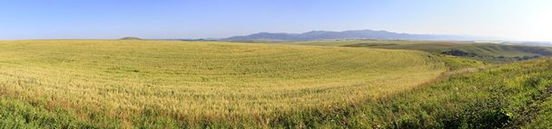 Hermosos campos agrícolas panorama en agosto. - Foto, Imagen