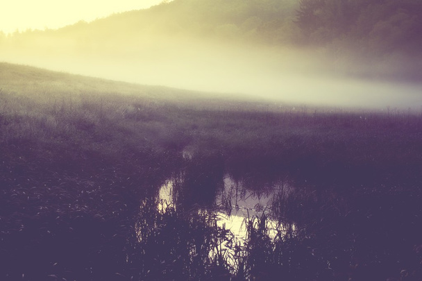 草原で霧の朝。ビンテージ効果の日の出風景写真 - 写真・画像