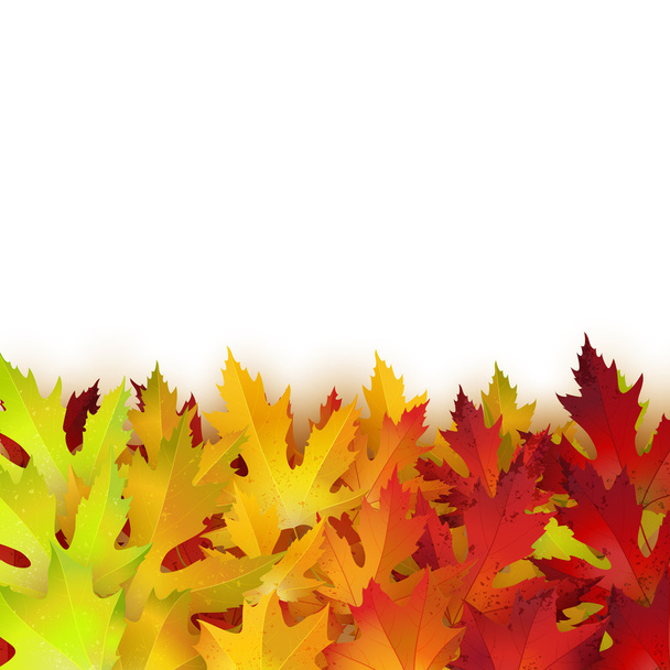 Renkli sonbahar yaprakları arkaplanı - Vektör, Görsel