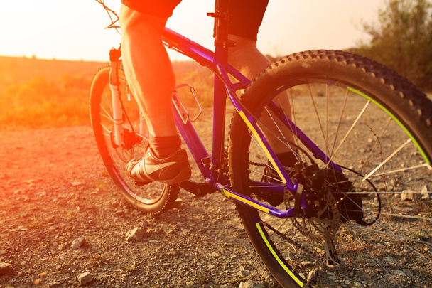 low angle view of cyclist riding mountain bike - 写真・画像