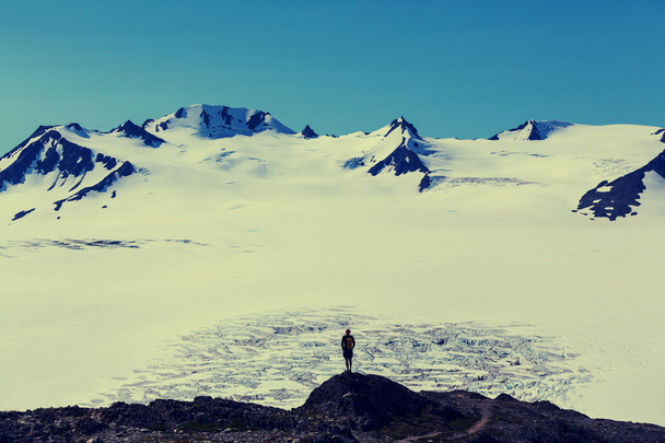 Hike in Exit glacier - Foto, Imagem