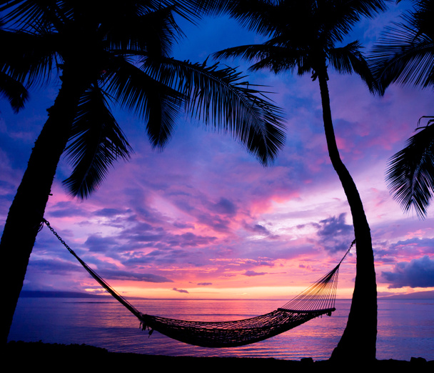 Hermosa puesta del sol de las vacaciones, silueta de la hamaca con las palmeras
 - Foto, imagen