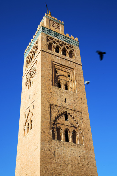 in maroc africa minaret and the bird - Photo, Image