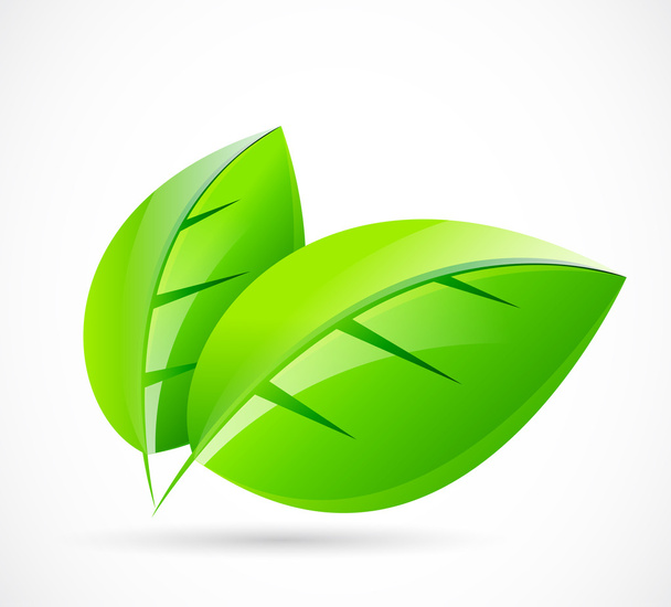 Vector green leaf concept - Vetor, Imagem