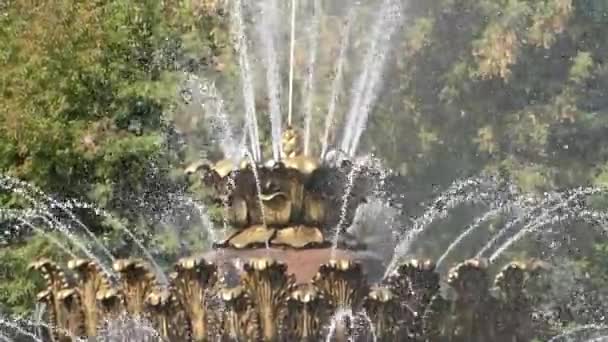 miasto fontann - Materiał filmowy, wideo
