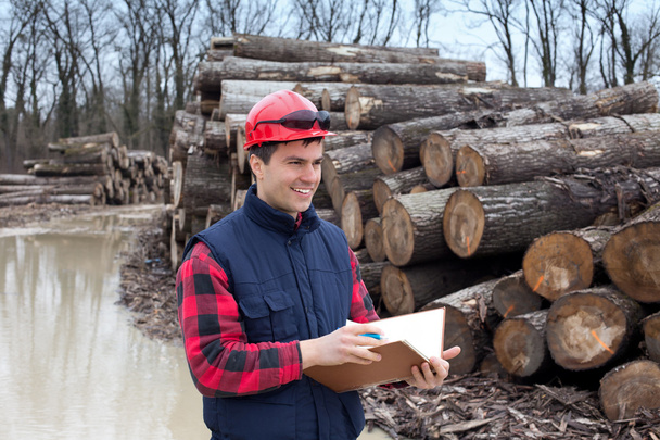 Lumber industry engineer - Photo, Image