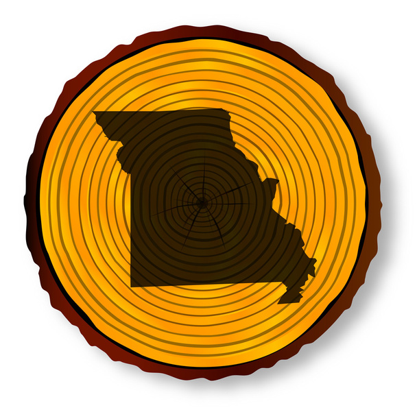 木材にミズーリ州地図 - ベクター画像