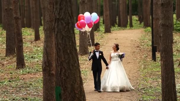 A menyasszony és a vőlegény pár séta - Felvétel, videó