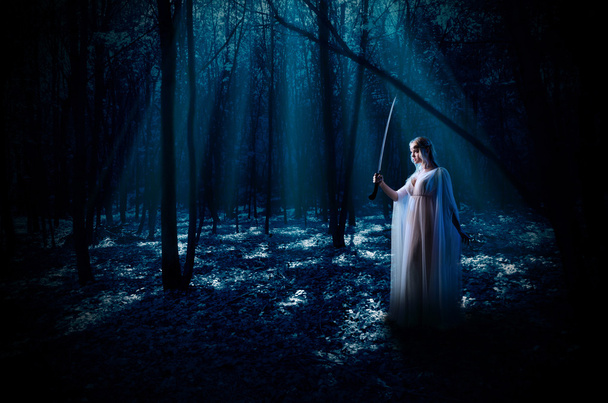 Elven girl with sword at night forest - Фото, зображення
