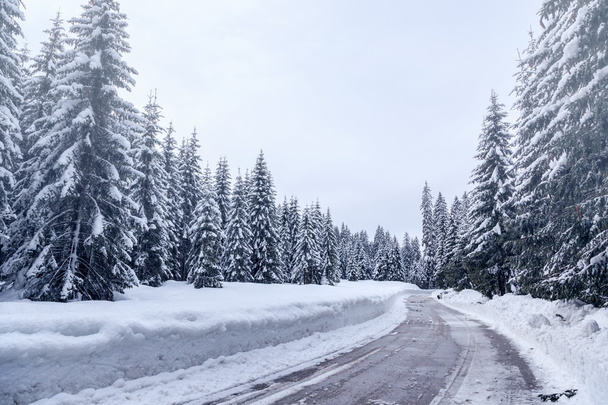 Χειμώνα χιονισμένο δρόμο στις Julian Άλπεις - Φωτογραφία, εικόνα
