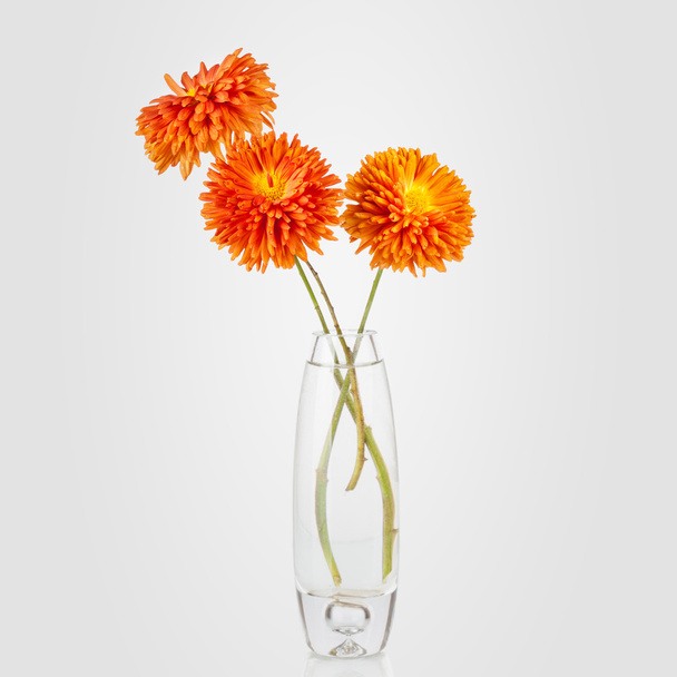 Beau bouquet de fleurs d'aster en vase
 - Photo, image