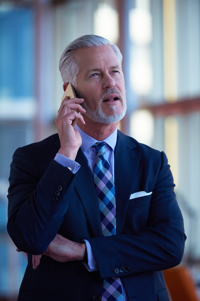 senior businessman talking on mobile phone - Foto, Imagen