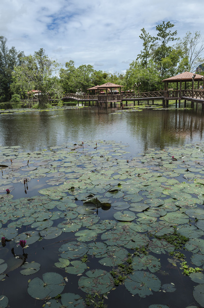 Taman Rekreasi Tasik Melati, Perlis, Malajsie - Fotografie, Obrázek