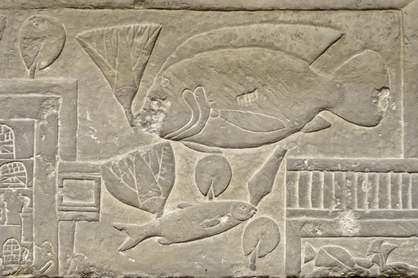 Ancient Egypt hieroglyph - Photo, Image