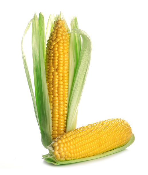 Rijp maïs geïsoleerd op wit - Foto, afbeelding