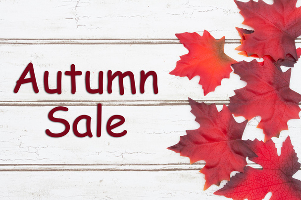 Autumn Sale Card - Photo, Image