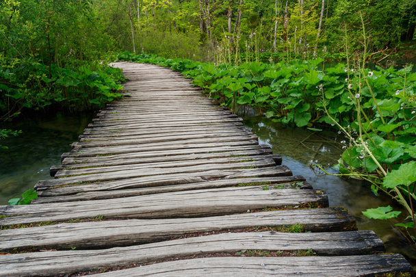 Promenada w parku Jezior Plitwickich - Zdjęcie, obraz