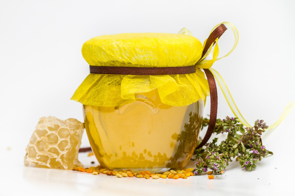 Herbal honey isolated - Фото, изображение