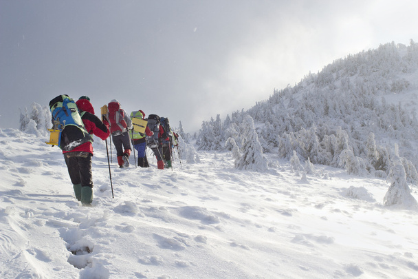 Escursionisti nelle montagne invernali
 - Foto, immagini