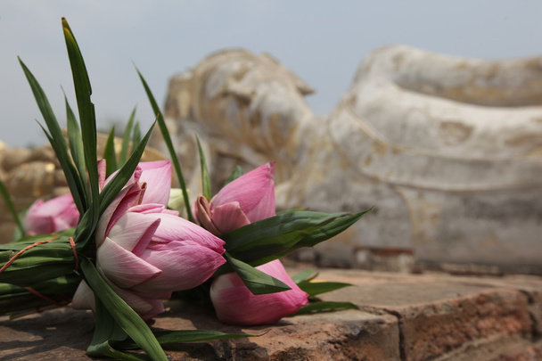 alte steinerne Buddha-Statue und Tulpen - Foto, Bild