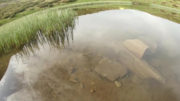 mountain ice pond in it a pile of stones, the water green grass grows - Footage, Video
