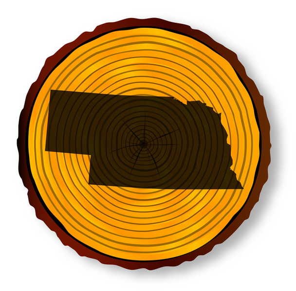 Mapa de Nebraska en madera
 - Vector, imagen