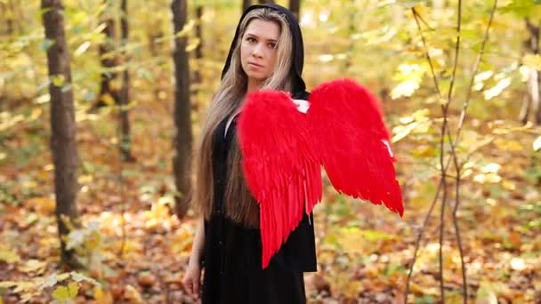 Beautiful girl with red angel wings in forest - Footage, Video