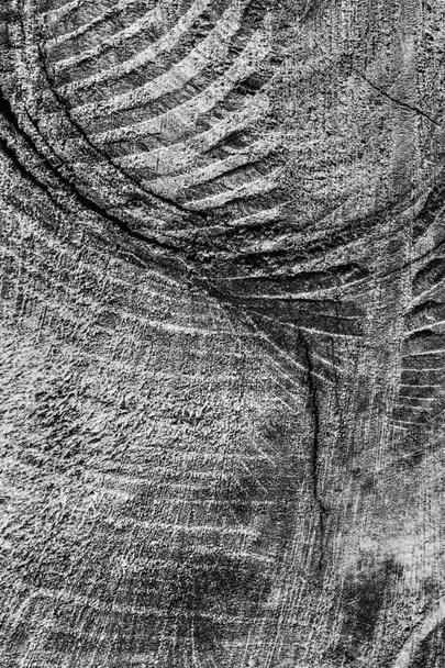 Vecchio legno intemperie sbiancato e macchiato grigio scuro Grunge Texture
 - Foto, immagini
