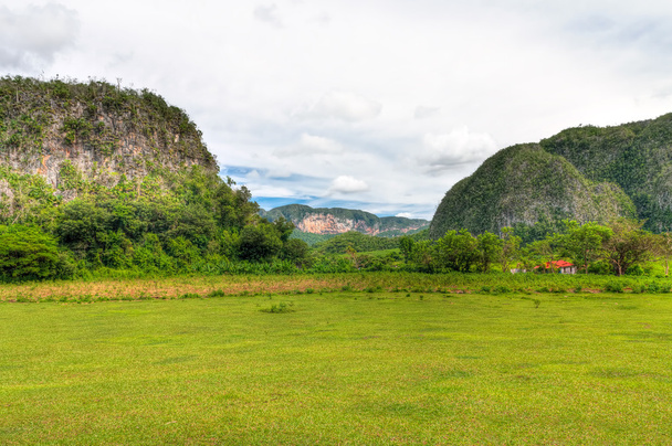 The famous Valley of Vinales in Cuba - Fotografie, Obrázek