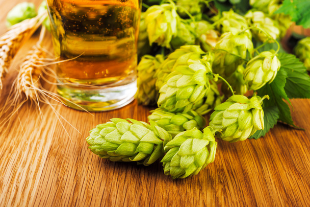 Hops and  beer on a  wooden table - Photo, Image