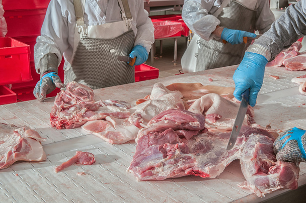 transformación de carne de cerdo industria alimentaria
 - Foto, imagen