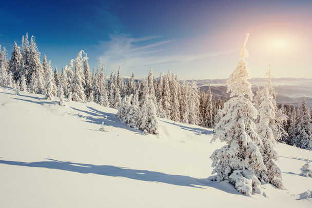 ウクライナの山々 の幻想的な冬の風景 - 写真・画像