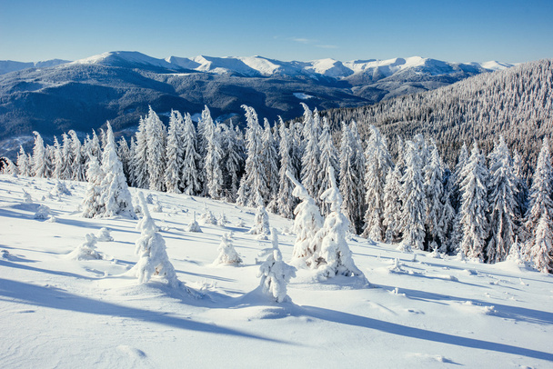 fantastische Winterlandschaft in den Bergen der Ukraine - Foto, Bild
