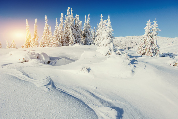 Fantastyczne zimowy krajobraz w górach Ukrainy - Zdjęcie, obraz