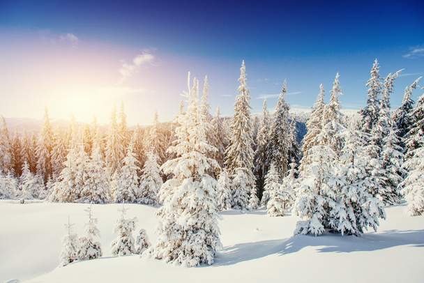 Fantástico paisaje de invierno en las montañas de Ucrania
 - Foto, imagen
